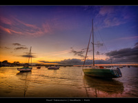 Boats-