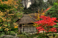 Japanese-garden