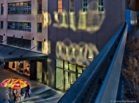 Hot-dogs-the-high-line