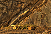 A-nice-place-for-a-rest-