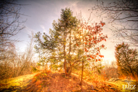 4-seasons-
