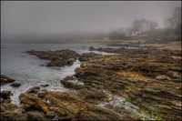 Fog-on-the-beach