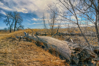Over-the-hill-