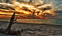 Fire-in-the-sky