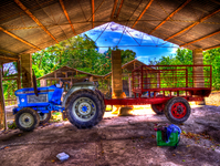Blue-tractor