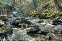 River
