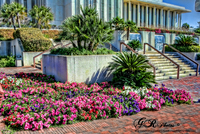 Tallahassee-florida-capitol-4