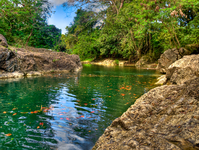 Charco-de-la-india