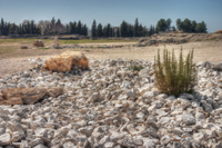 White-stones