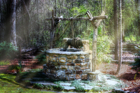 Wishing-well