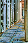 Tallahassee-florida-capitol-5