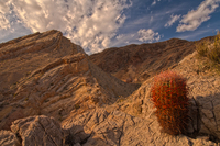 High-desert