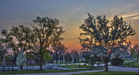 The-subtleness-of-sunrise