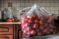 Tomatoes-still-life
