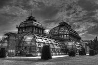 Schunbrunn-palmenhaus