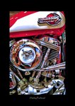 Harley-panhead