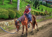 Riding-horse