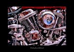 Knucklehead