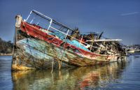Remains-of-the-grey-lady
