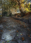 Camminando-su-antiche-strade-2