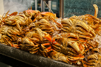 San-francisco-treat-