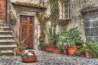 Entrance-with-plants