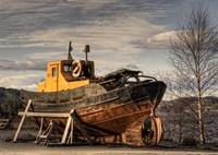 -on-land-not-water-