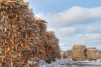 Wood-stack-in-cargo-station