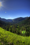 Greener-pastures-