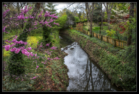 Spring-creek-
