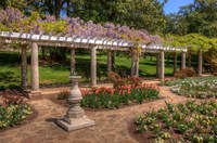 Italian-gardens-at-maymont-park