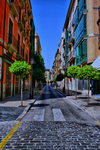 Palma-de-maiorca