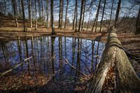 Spring-time-