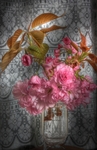 Cherry-blossoms
