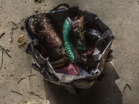 Brush-bag