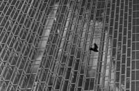 Abstract
