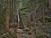 Stairs-to-haven