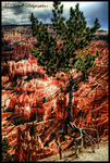 Bryce-canyon