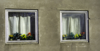 Plastic-flowers-