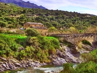 Valle-della-restonica-