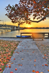 Sunrise-over-siesta-drive