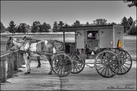 Horse-and-buggy