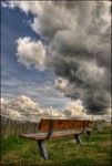 Bench-of-paradise