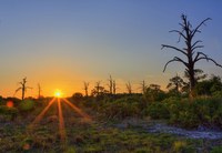 Sunset-in-the-flat-plines