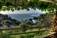 View-from-the-porch