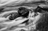 Rocky-mountain-riverway