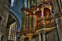 Moreau-organ-