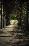 Light-at-the-end-of-the-tunnel