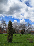 Rural-impression