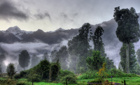 Fog-at-sunrise